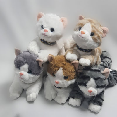 Котик с большими глазками